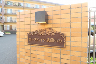 ̑p ٖ