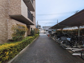 ���n�O�ώʐ^ -