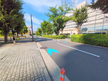 ���n�O�ώʐ^ -