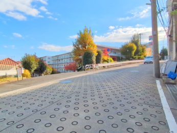 ���n�O�ώʐ^ -