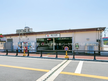 ���ӊ� ���}�d�S�u�����J�v�w560m