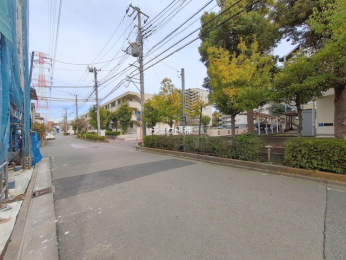 ���n�O�ώʐ^ -