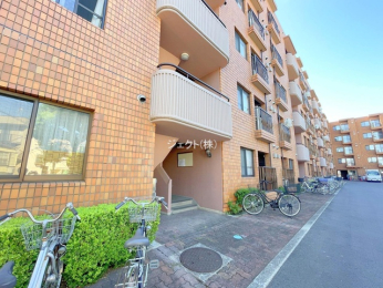 �G���g�����X -