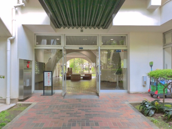 �G���g�����X -