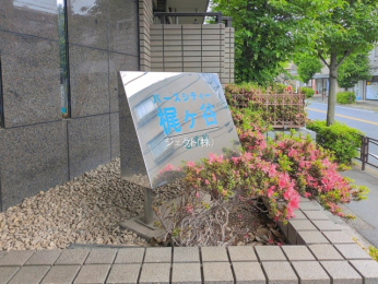 ���n�O�ώʐ^ -