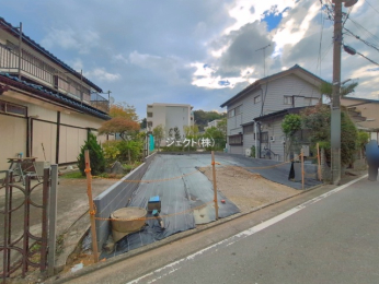 ���n�y�n�ʐ^ -